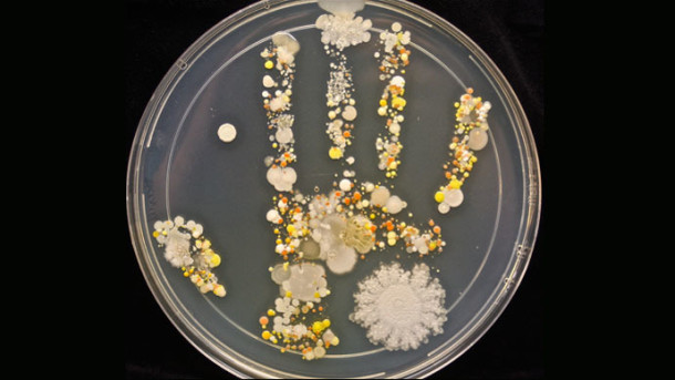 bakterija-ruke-pranje-prljavstina-higije